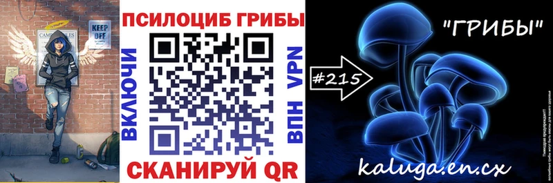 kraken tor  Голицыно  shop Telegram  Псилоцибиновые грибы мицелий 